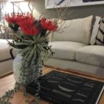 Porfolio: Chicago Model Unit by Main and Walnut