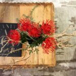 Porfolio: Chicago Model Unit by Main and Walnut